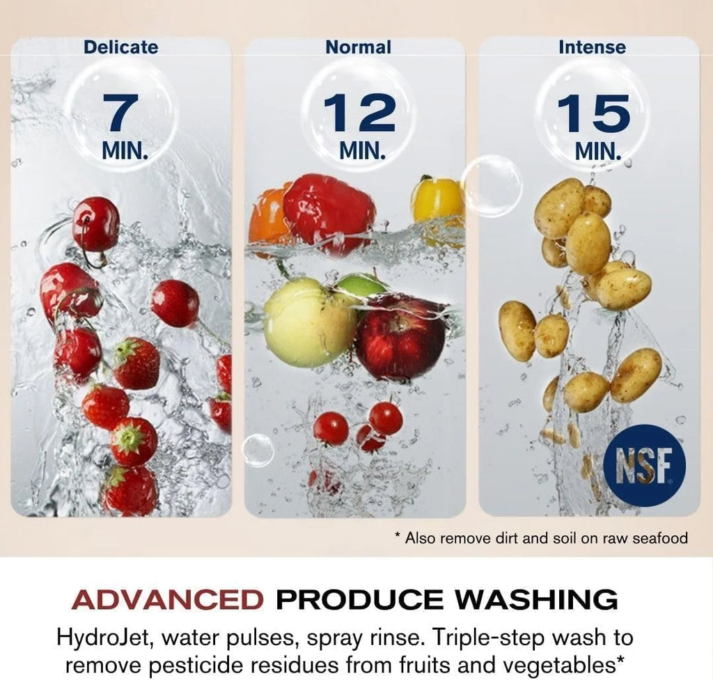 FOTILE SD2F-P5L 3-In-1 In-Sink Dishwasher