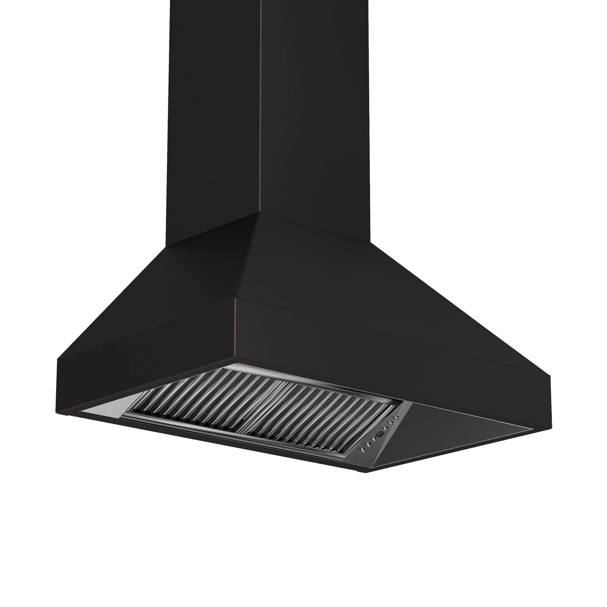 ZLINE 30 in. Designer Series Wall Mount Range Hood (8667B-30)