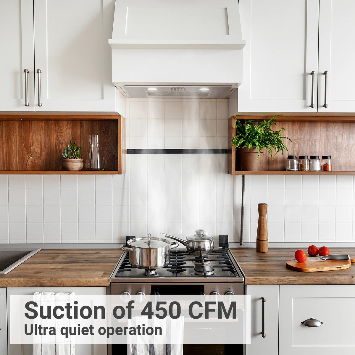CIARRA Insert Range Hood 20 inch 450 CFM with Push Button Control Stainless Steel CAS913E52