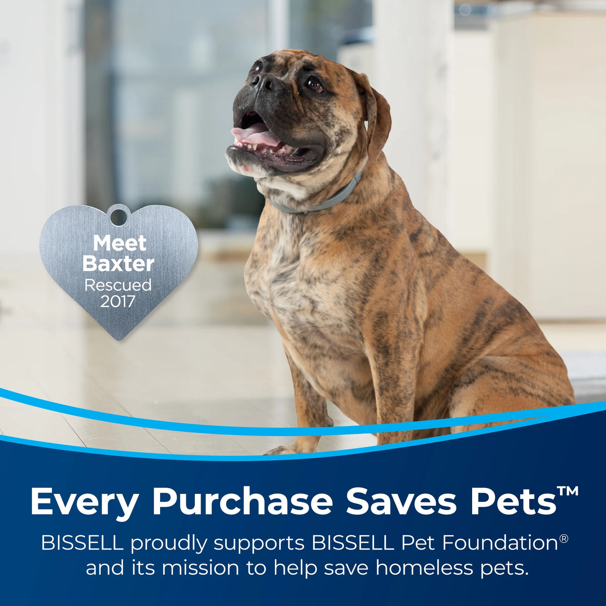 BISSELL Upright Vacuum, PowerLifter Swivel Lift-Off Pet, Pet Friendly, Powerful Suction, Tangle-Free Brush Roll, SMARTSEAL Allergen System, Hard Floor and Carpet, TurboBrush Pet Tool, 2920F, Grey