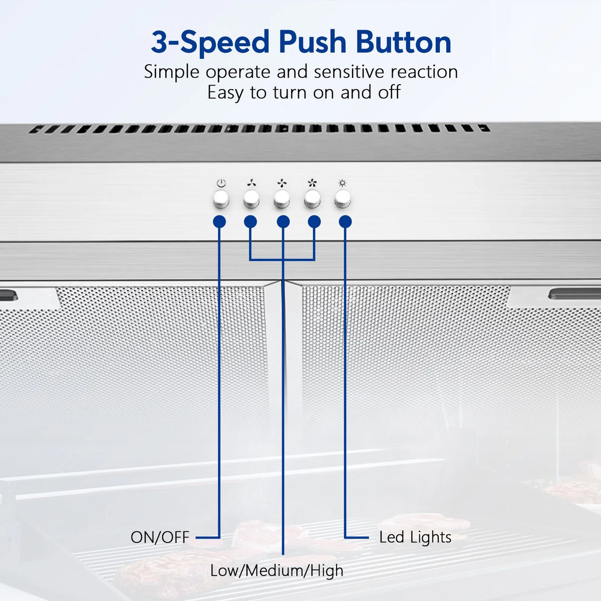Tylza 30" 600 CFM Stainless Steel Kitchen Under Cabinet Range Hood with 2 x 2W LED Lights and 2 Replacement Charcoal Filter