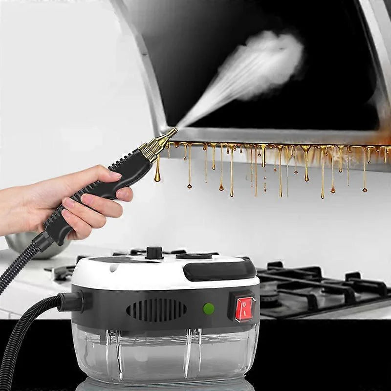 Bed Bug Steamer Steam Cleaner High Pressure Cleaner 3bar 2500w Nar