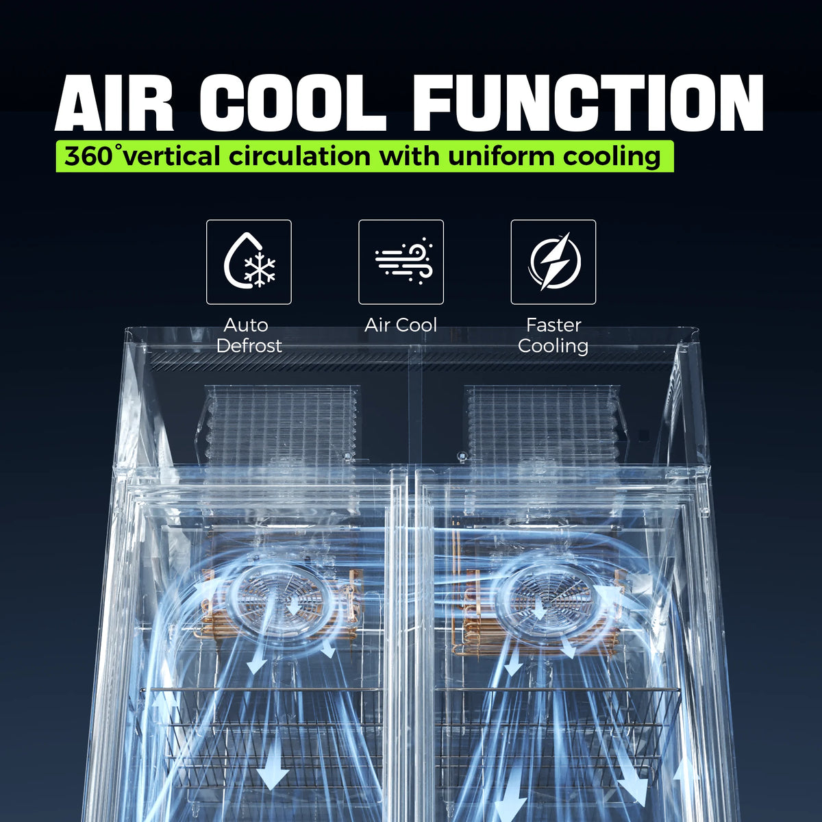 Coolake Commercial Refrigerator And Freezer Combo, 48" W Dual Temperature Zones, 36 Cu.ft 2 Door