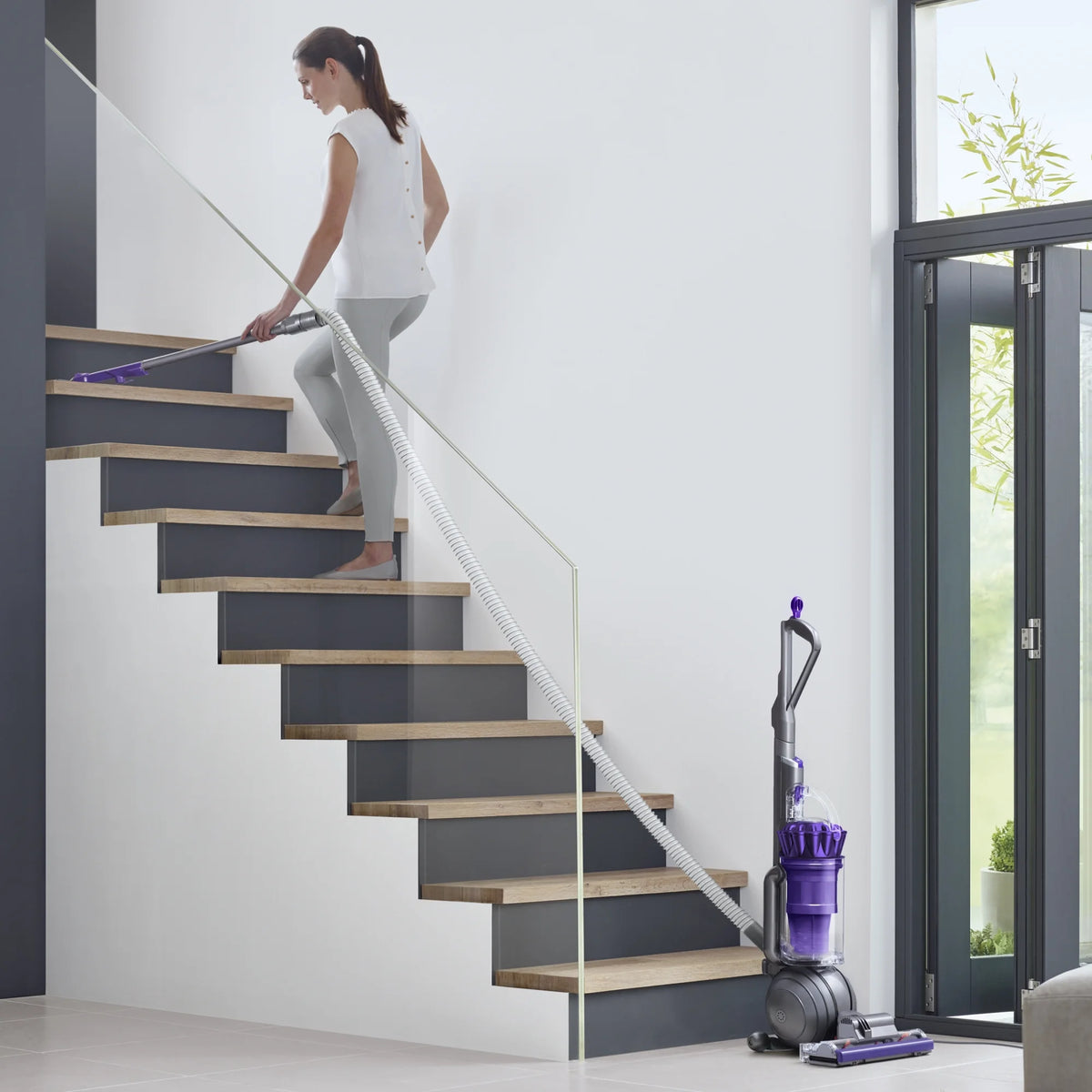 Dyson Ball Animal Origin Upright Vacuum Cleaner | Purple | New