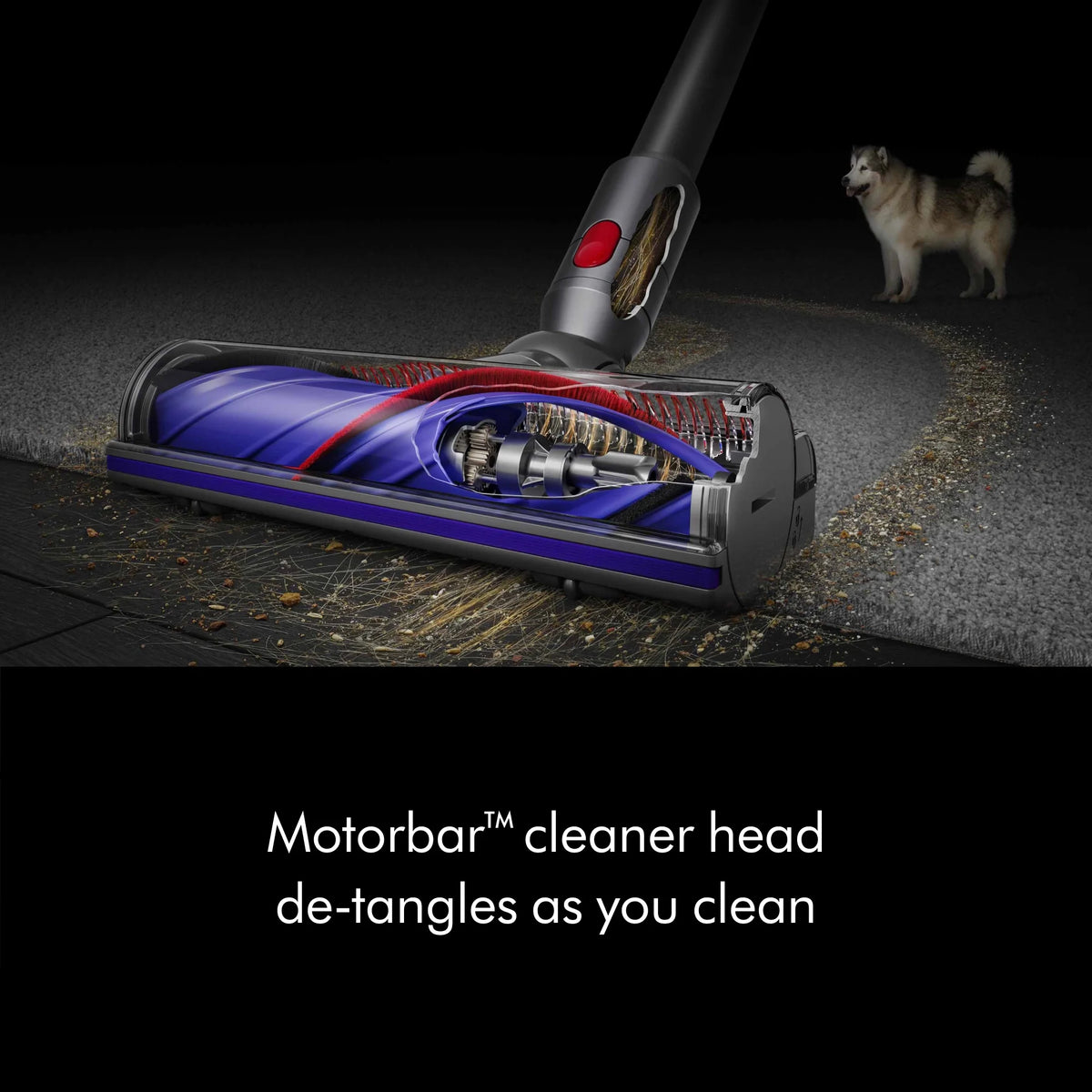 Dyson V8 Cordless Vacuum | Silver | New