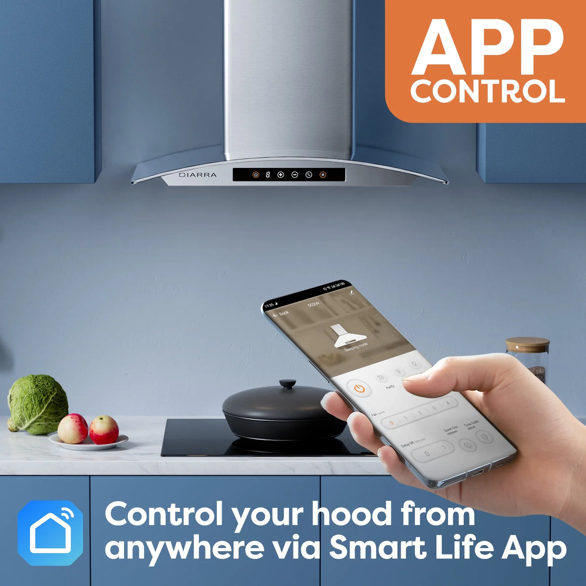 CIARRA Wall Mount Range Hood 30 inch 450 CFM with WIFI/Voice Control CAS502W75