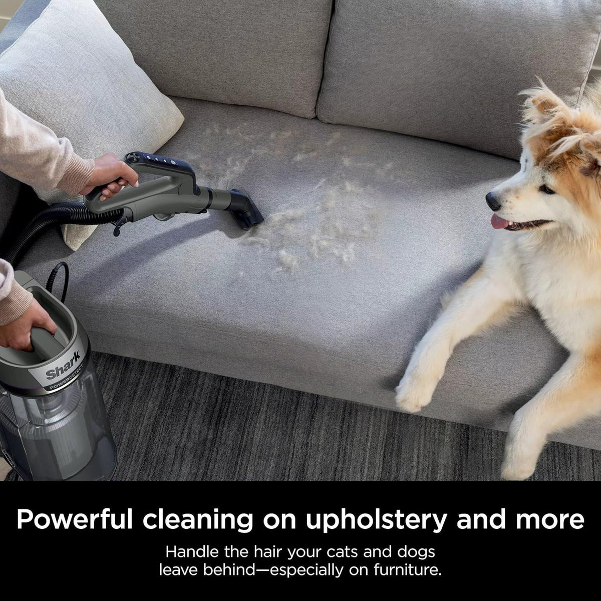 Restored Shark AZ3901 POWERDETECT Upright Vacuum Cleaner with DuoClean Technology, Odor Neutralizer Technology, Powered Lift-Away, Self Cleaning Brushroll (Refurbished)