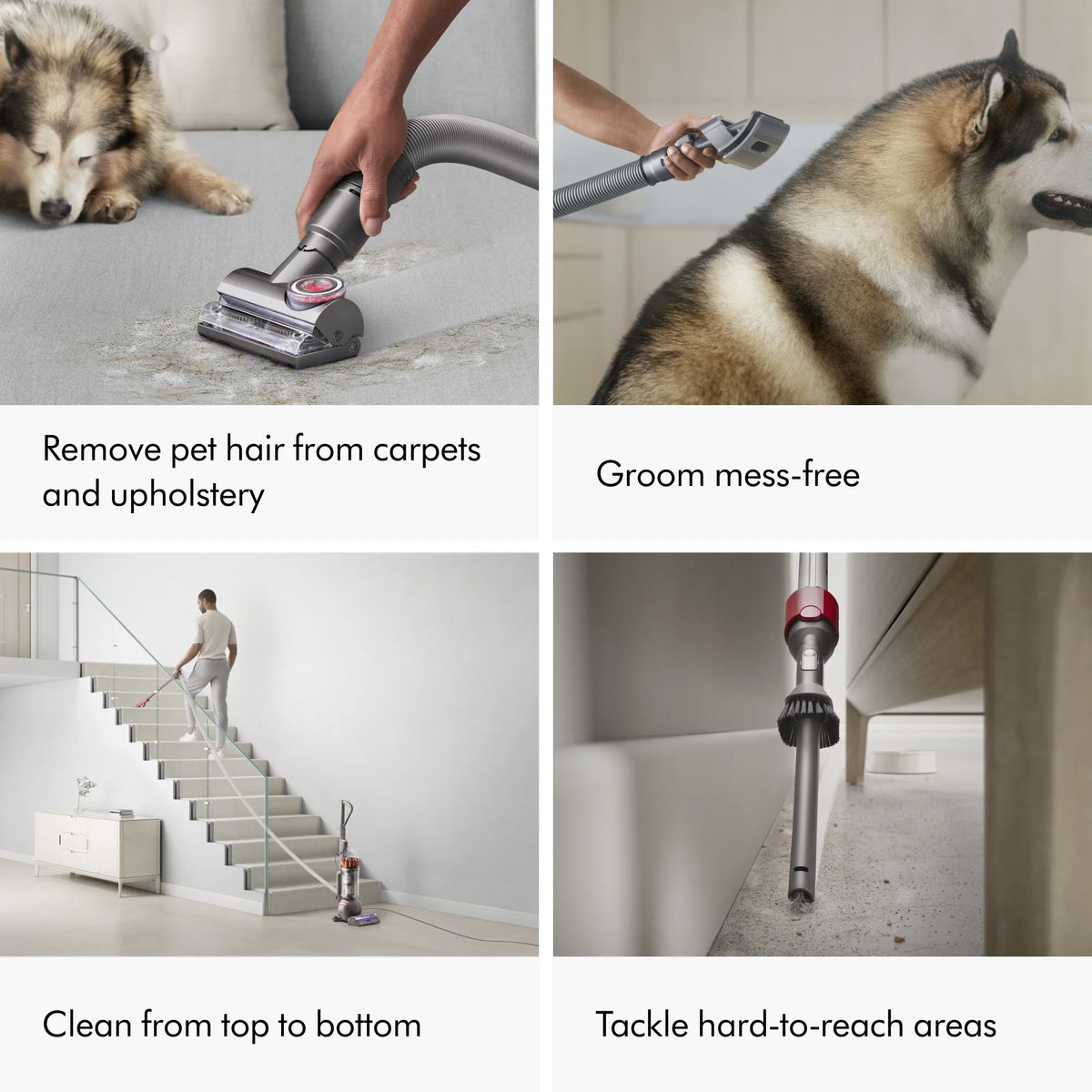 Dyson Ball Animal 3 Extra Upright Vacuum | Copper | New