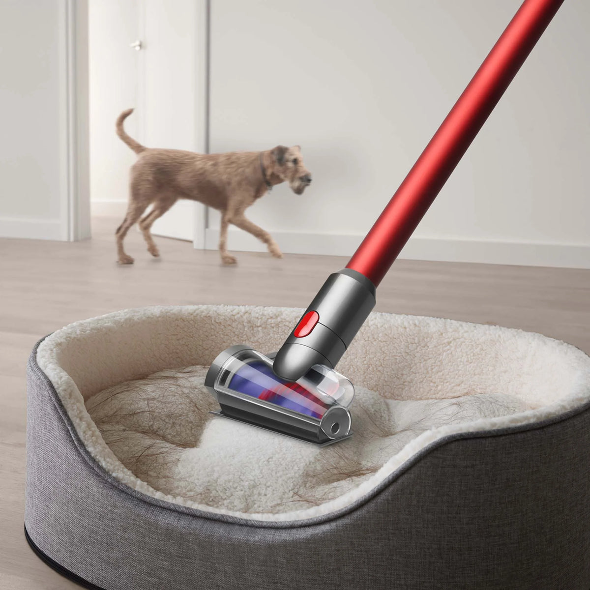 Restored Premium Dyson V11 Outsize+ Cordless Vacuum Cleaner | Red (Refurbished)