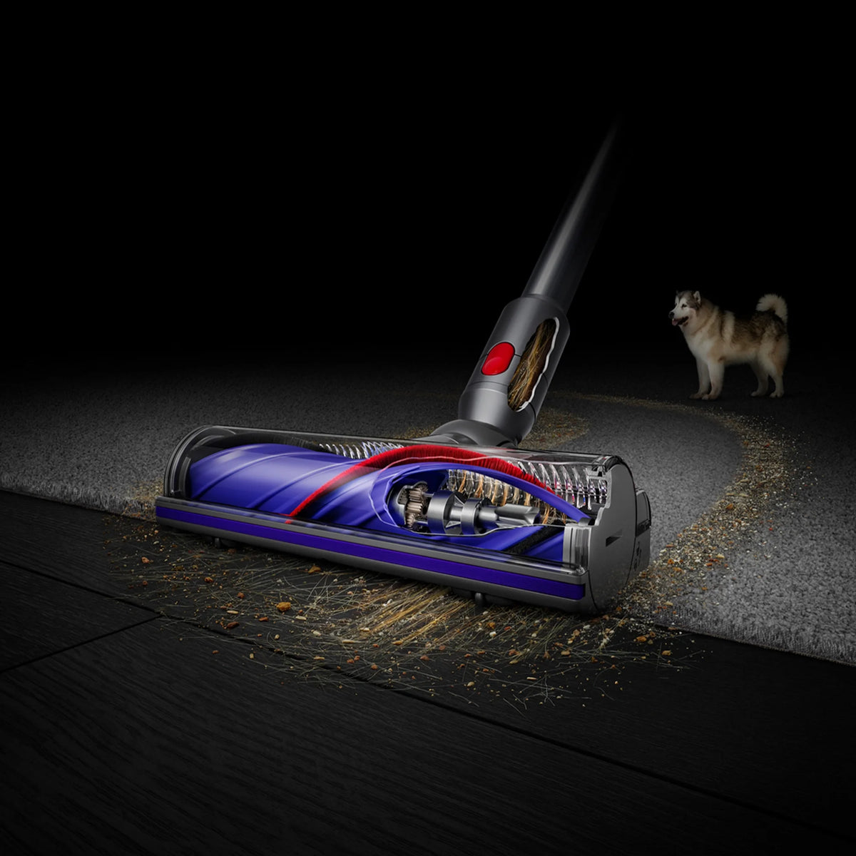 Restored Premium Dyson V8 Absolute Cordless Vacuum | Silver/Nickel (Refurbished)