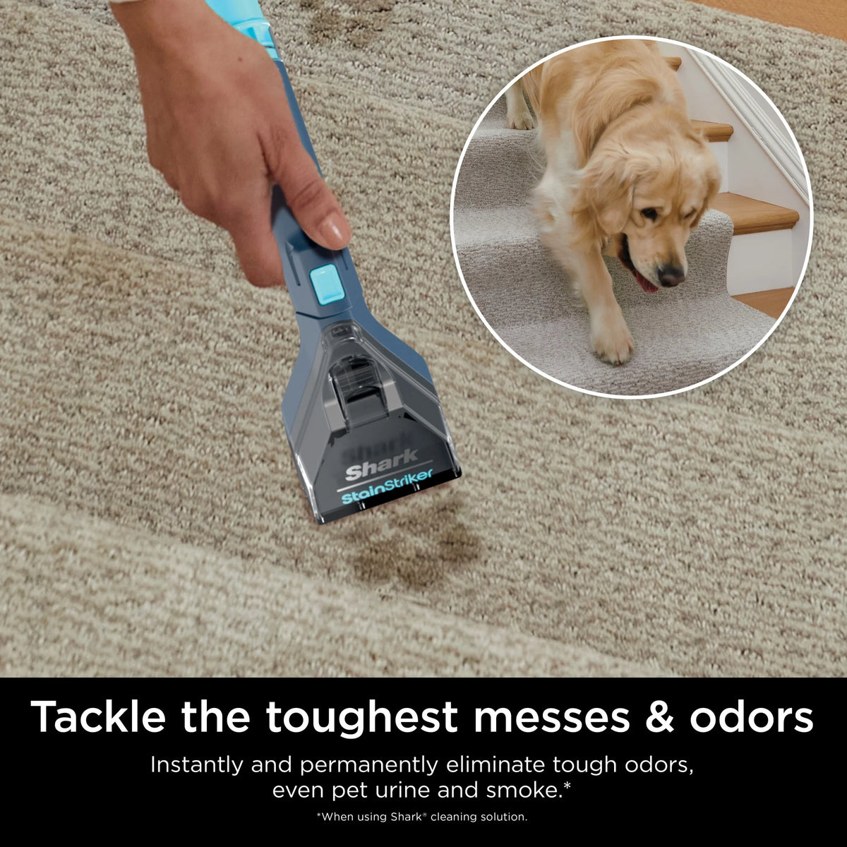 Shark StainStriker Carpet and Upholstery Cleaner, Portable with 2 Tools, 6oz Deep Clean Pro Formula and 12oz OXY Multiplier Formula, PX200 Navy/White