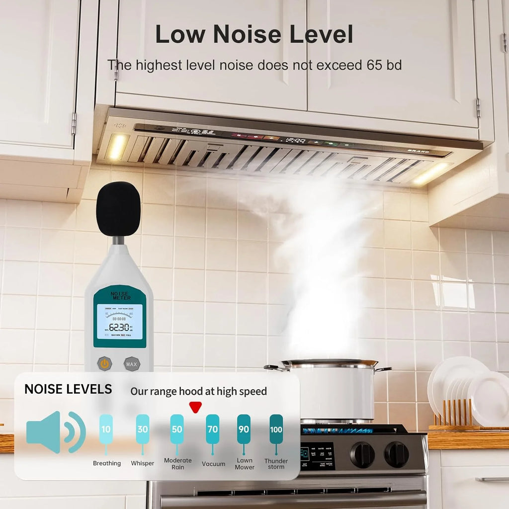Range Hood Insert 30 Inch, 900 CFM Smart Voice/Gesture/Touch Control, 4 Speed Exhaust Fan, Stainless Steel Kitchen Hood with Charcoal Filter, Ducted/Ductless Convertible