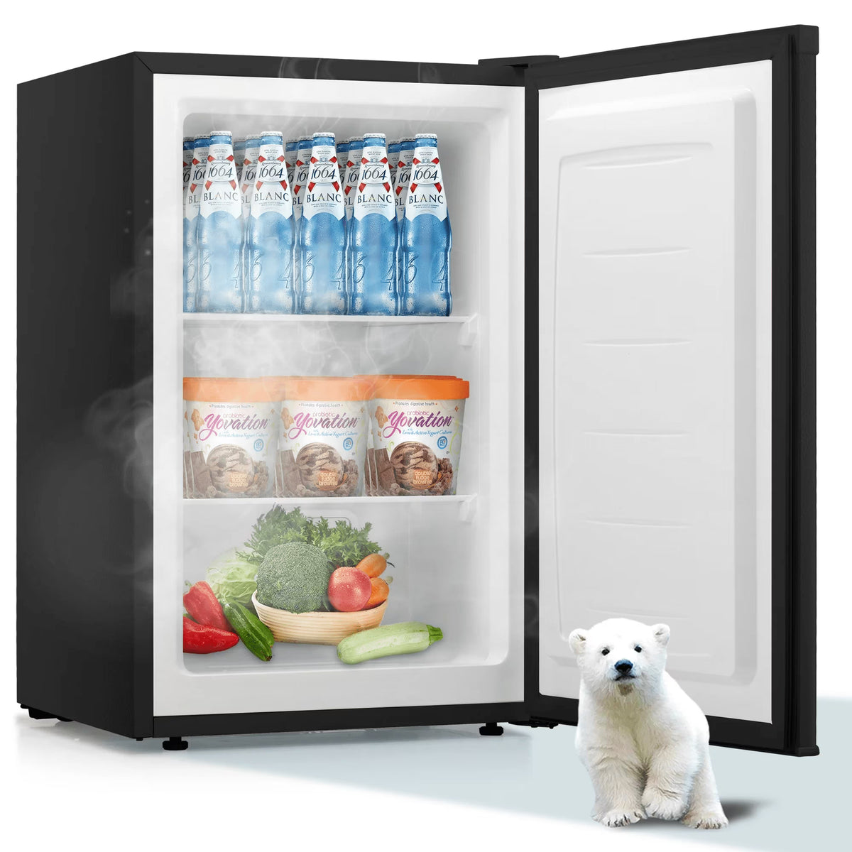 Electactic Upright Freezer, Energy Saving 3.0 Cu.ft Single Door Compact Upright Freezer with Reversible Door(Black)